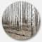 Designart - Beautiful Dense Birch Forest View' Disc Forest Large Metal Circle Wall Art